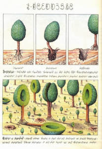 Codex Seraphinianus (1981) by Luigi Serafini. Hollow trees.