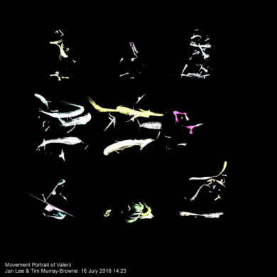 Movement portrait of Valerii by Jan Lee and Tim Murray-Browne
