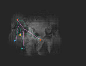Screenshot of the pixel-based skeleton tracking algorithm used in Movement Alphabet by Jan Lee and Tim Murray-Browne. End points of the skeleton are smoothed through a bespoke algorithm to produce the distinctive calligraphic marks of each Movement Portrait.